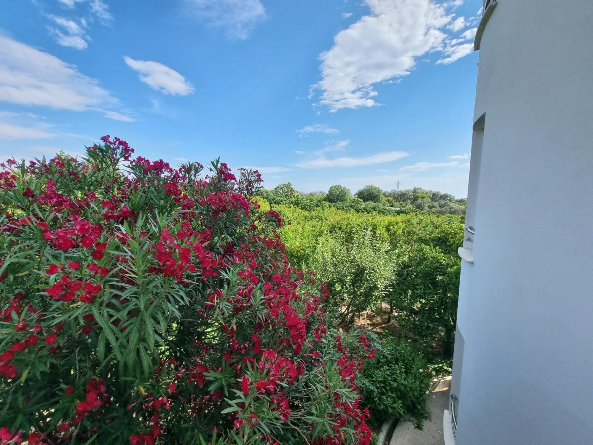 Green Paradise Appartement Ulcinj Buitenkant foto